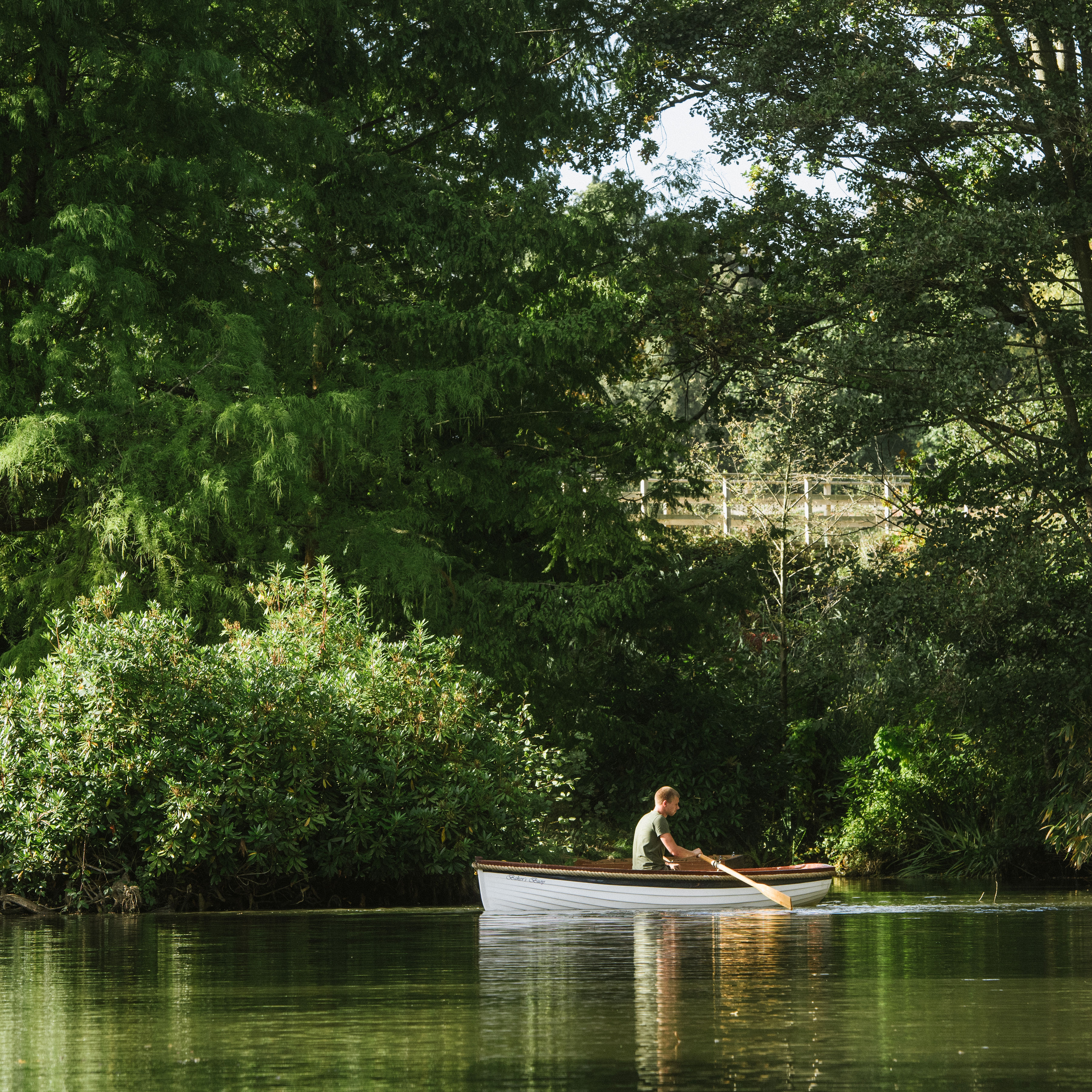 Rowing Boat On Lake (1)